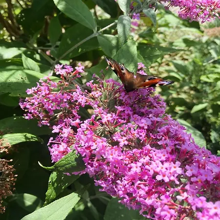 Casa de Férias Thessa - 4km From The Sea By Interhome Fåborg