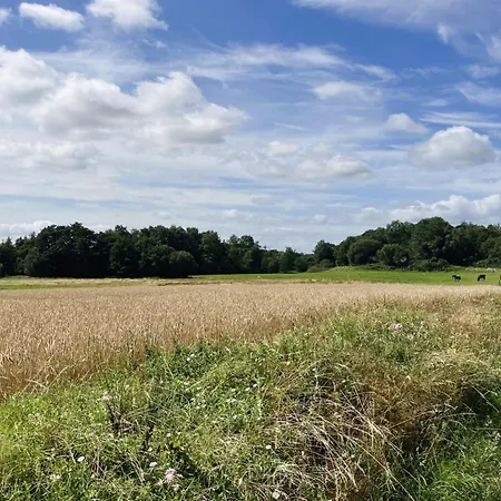 Casa de Férias Thessa - 4km From The Sea By Interhome Fåborg