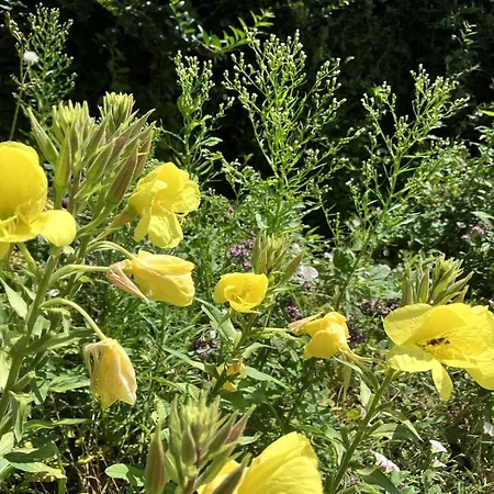 Prázdninový dům Thessa - 4km From The Sea By Interhome *