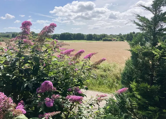 Thessa - 4km From The Sea By Interhome Fåborg