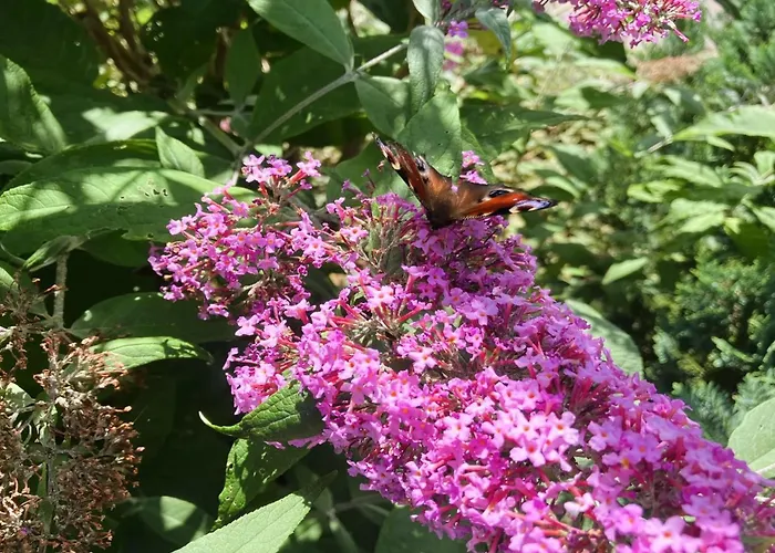 Сasa de vacaciones Thessa - 4km From The Sea By Interhome Fåborg