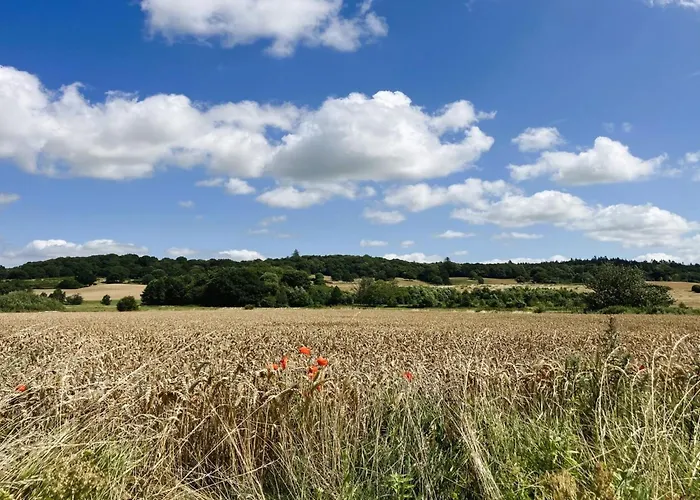 Thessa - 4km From The Sea By Interhome Сasa de vacaciones Fåborg