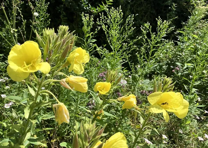 Сasa de vacaciones Thessa - 4km From The Sea By Interhome *